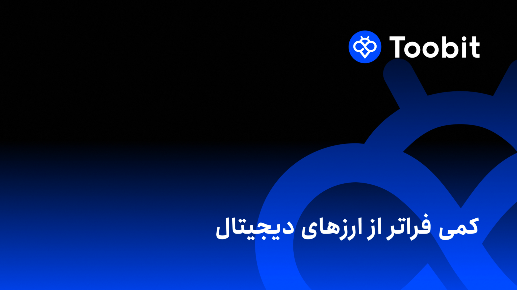 قراردادهای فارکس در بروکر کپیتال اکستند (1404) | راهنمای کامل